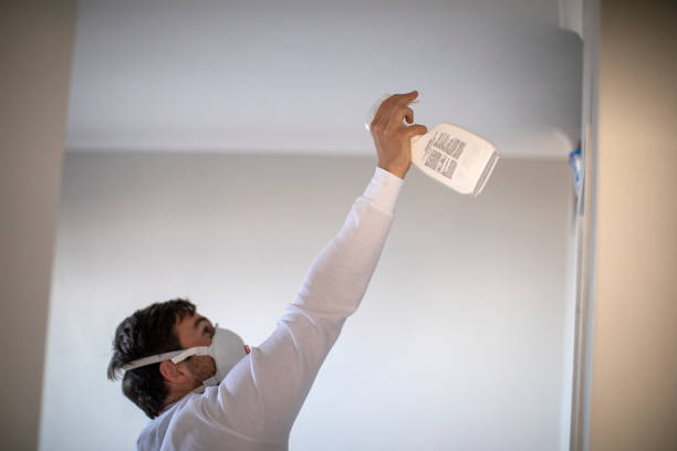 Best Attic Mold Removal  in Lmer Heights, PA